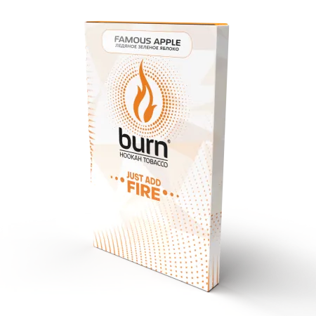 Цена Табак Burn 100г Famous Apple М