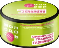 Табак Молодость 25г Повидло из киви М